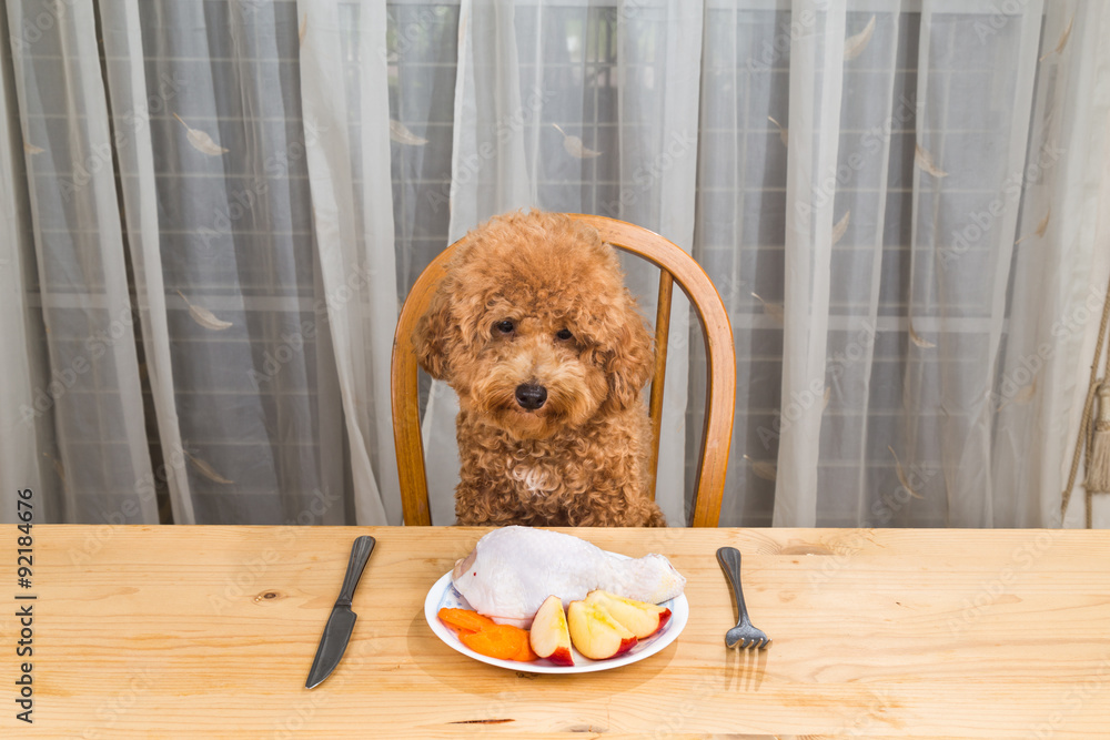 Concept of dog having delicious raw meat meal on table.