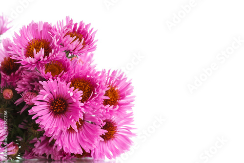 bouquet of pink chrysanthemums