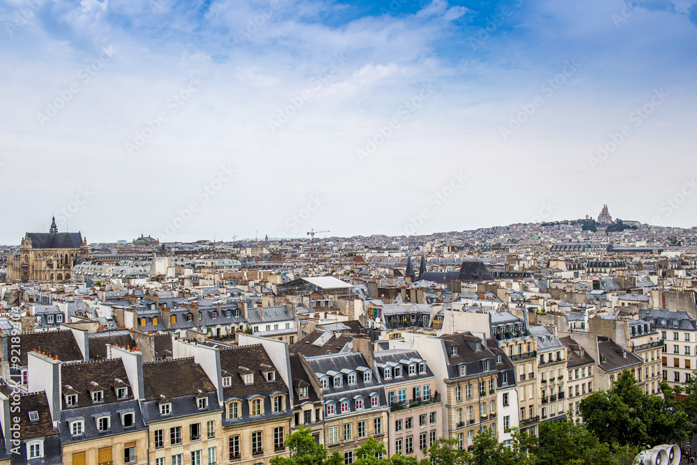 Obraz premium beautiful view of the Paris, France