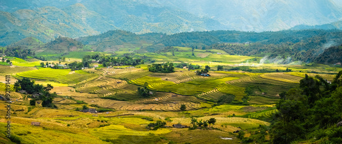 Rice fields on terraced of Mu Cang Chai, YenBai, Vietnam. Rice fields prepare the harvest at Northwest Vietnam.