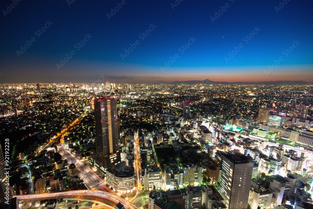 東京・池袋方面から望む大都会の夜景