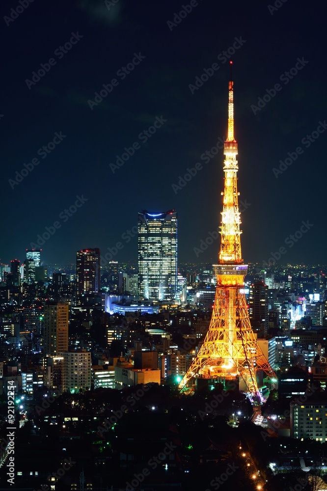 東京タワーと富士山の夕景・夜景