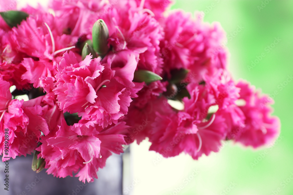 Beautiful bouquet of pink carnation in watering can on bright background Beautiful bouquet of pink carnation in watering can on bright background