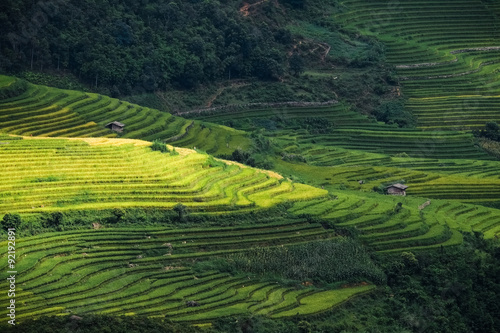 Rice fields on terraced of Mu Cang Chai, YenBai, Vietnam. Rice fields prepare the harvest at Northwest Vietnam. © cristaltran