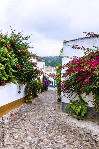 Narrow streets of old town Obidos, Portugal