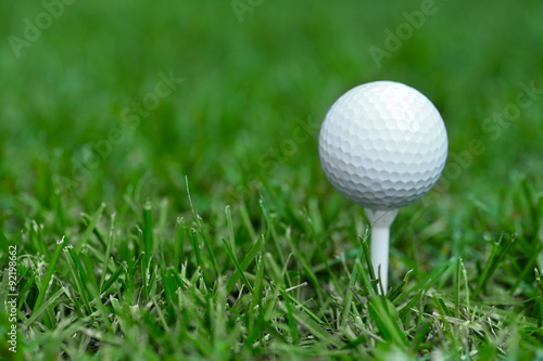 White golf ball on green grass background