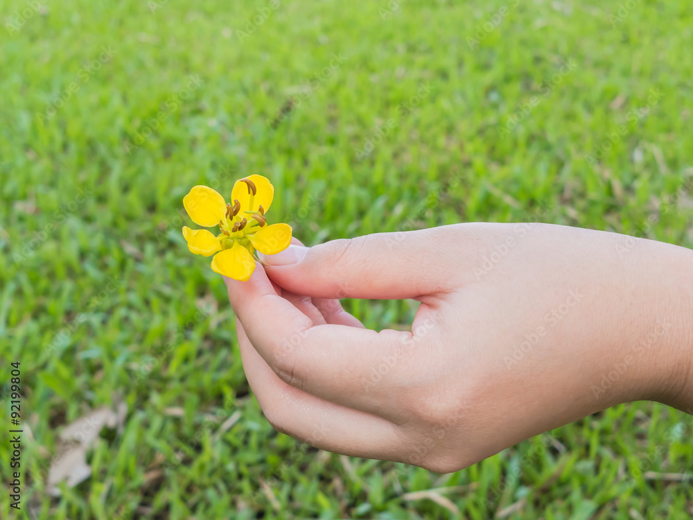 hand holding small yellow flower