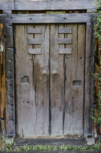 Brown ancient ruined wooden door - Ancient wood entrance door and green ivy plant