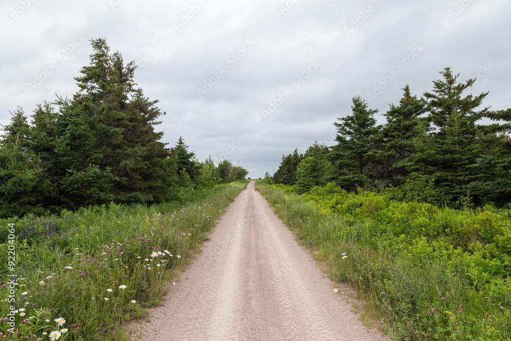 Dirt Tracks in Cape Breton Island