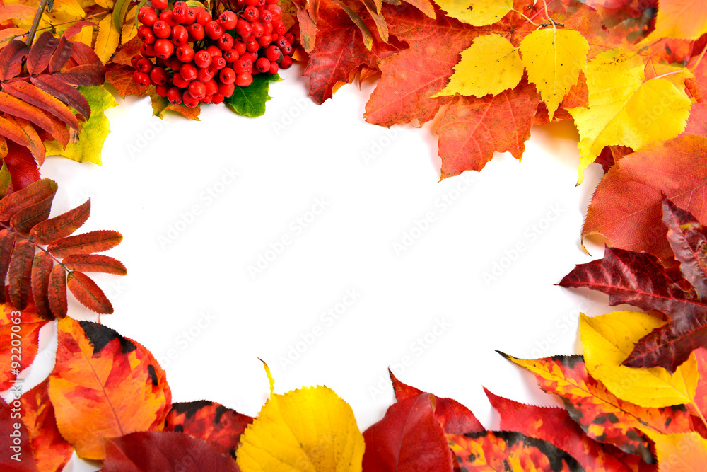 Fall leaves background Fall leaves background