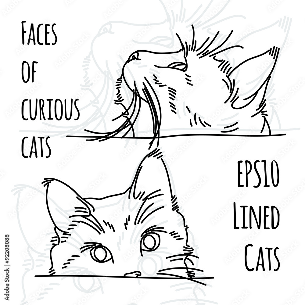 Naklejka premium Vector illustration of two curious cat muzzles