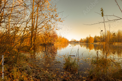 Wallpaper Mural Natural landscape Torontodigital.ca