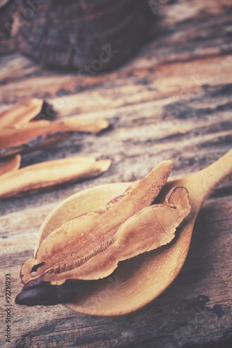 Ganoderma lucidum - Ling zhi mushroom.