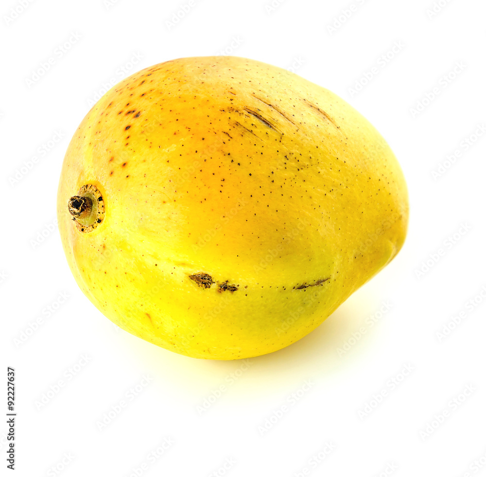 Tropical mango isolated in studio Tropical mango isolated in studio