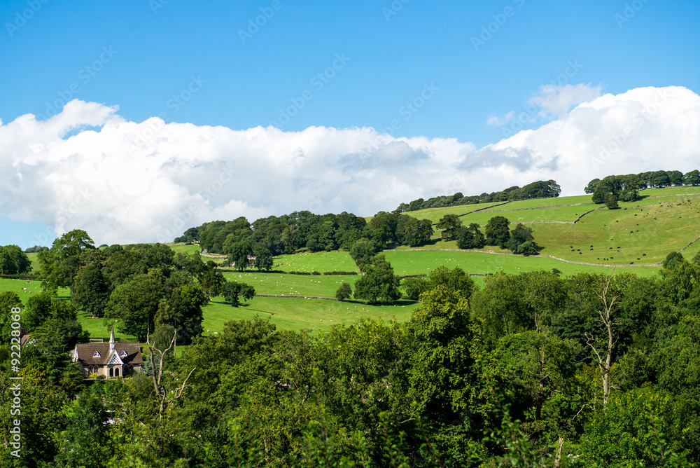 Green Meadows and Trees near Ilam Hall  in Peak District Nationa