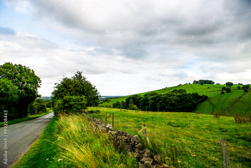 Road, Green Meadows and Trees in Peak District National Park