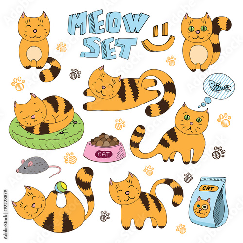 Cute Cat vector collection in different poses: sleeping, playing