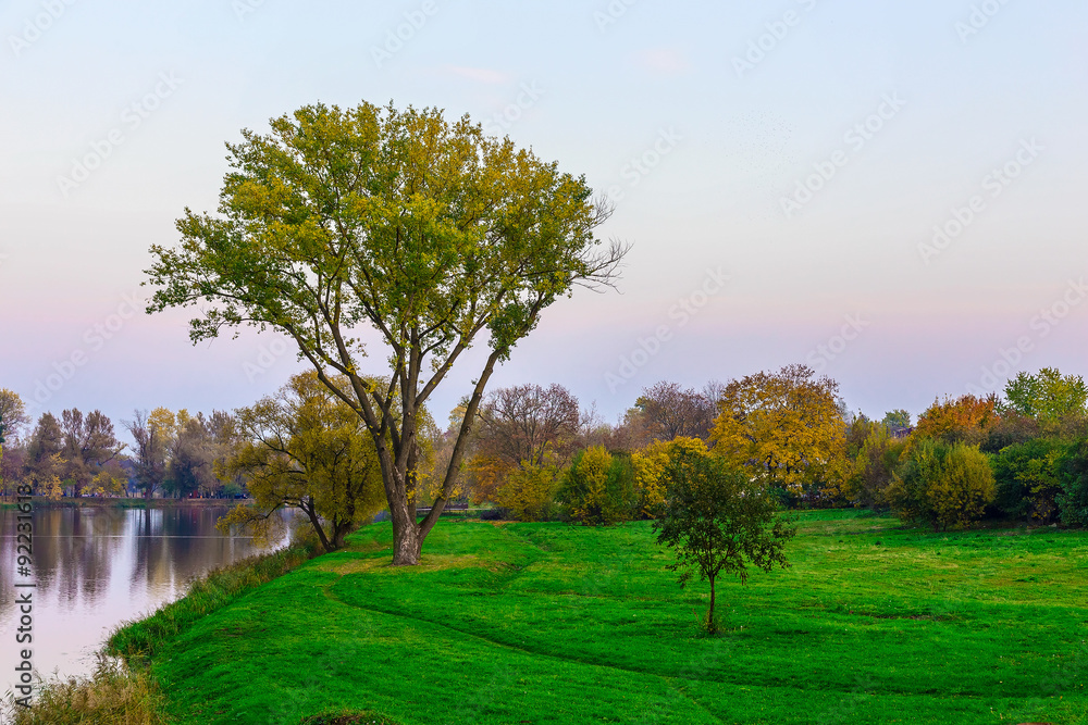 Colourful Trees on Green Grass Near the River at Sunset in Autumn