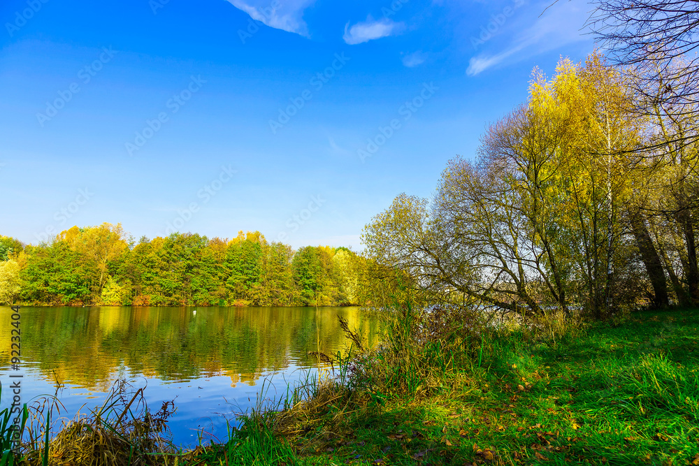 Autumn Nature with Colourful Trees and Blue Sky Reflected in Lake and Green Grass at Sunny Day