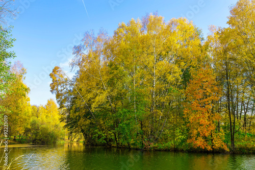 Autumn Park with Colourful Trees Placed Along the River at Sunny Day