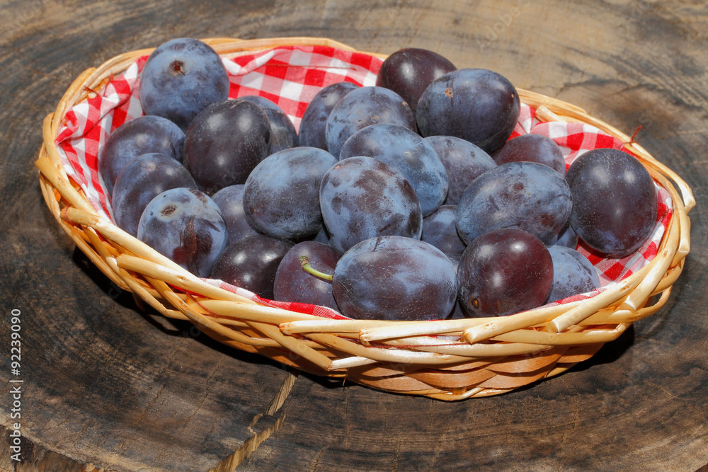 custom made wallpaper toronto digitalFrisch geerntete Pflaumen