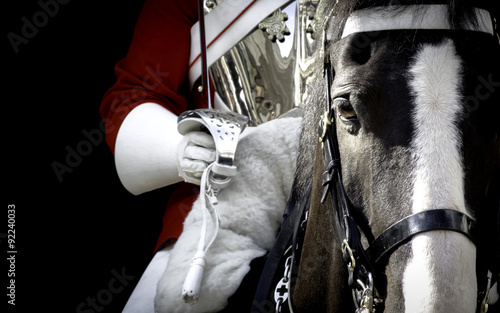 Bild auf Leinwand Black horse mounted by a british royal guard in London, England