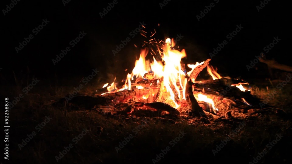 beautiful fire burning in the darkness of the night. Altai beautiful fire burning in the darkness of the night. Altai