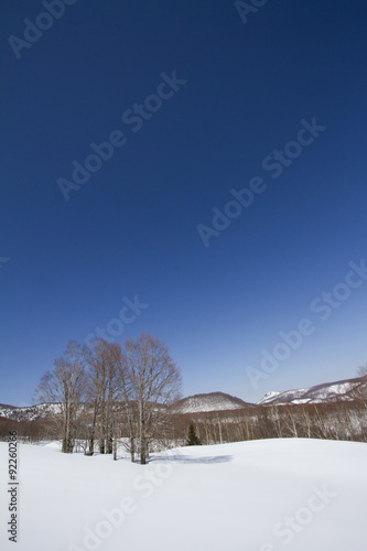 青空と雪景色 © K.Kara