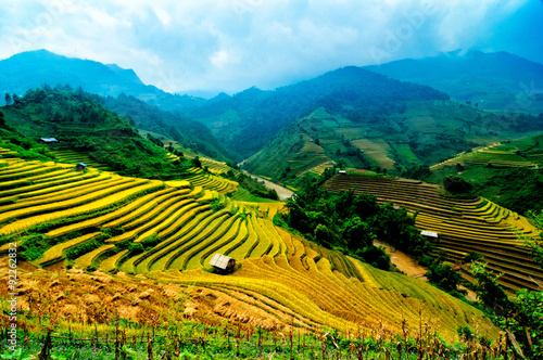 Rice fields on terraced of Mu Cang Chai, YenBai, Vietnam. Rice fields prepare the harvest at Northwest Vietnam.
