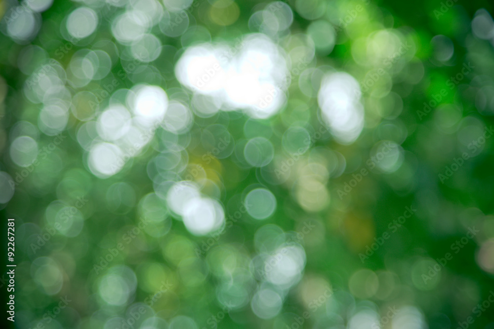 Obraz premium Natural green blurred background.