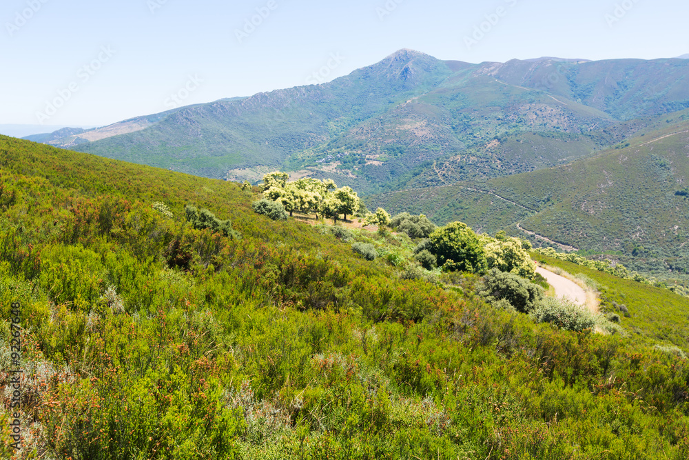 Fototapeta premium Mountains landscape