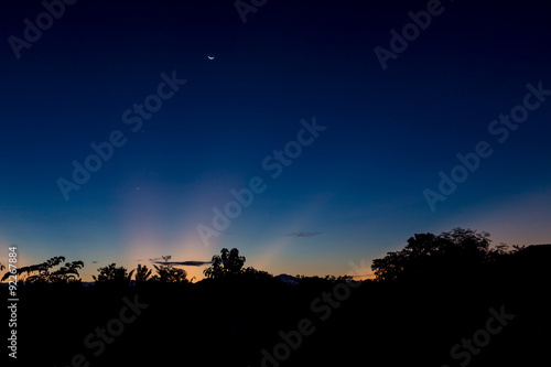 Wallpaper Mural Colourful Sky and Forest at dawn Torontodigital.ca