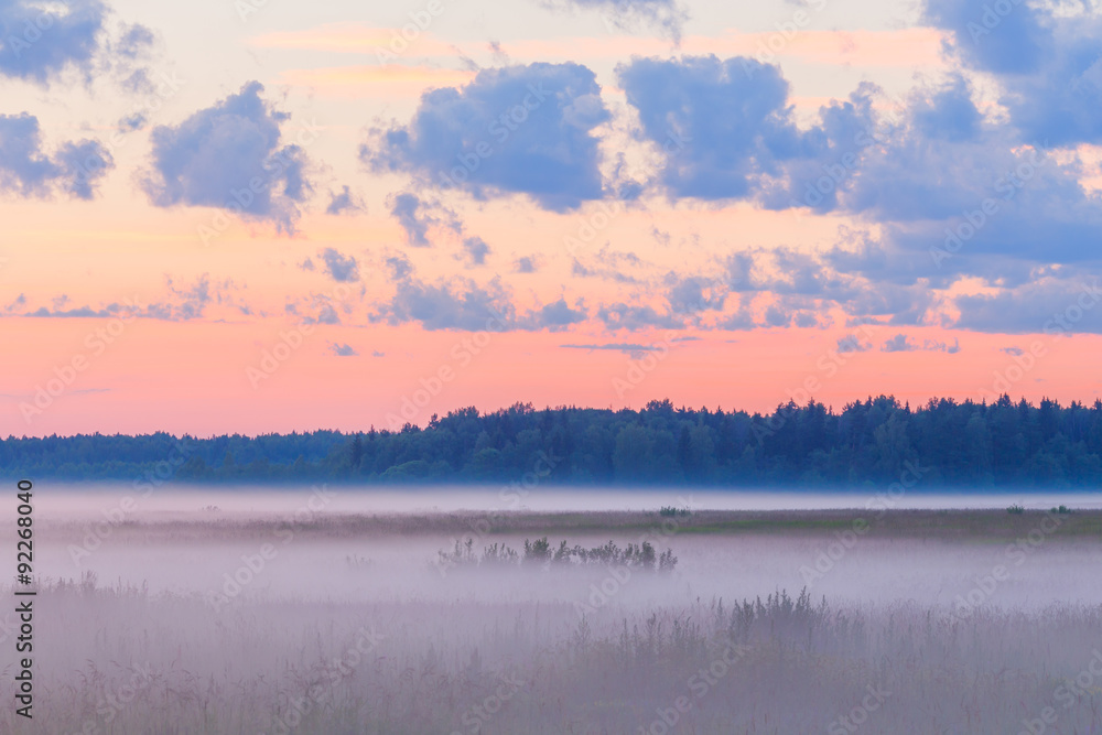 Obraz premium Fog in the fields landscape pink sky mist morning