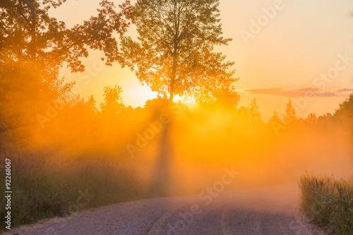 Misty dawn with forest road and sunbeams dawn