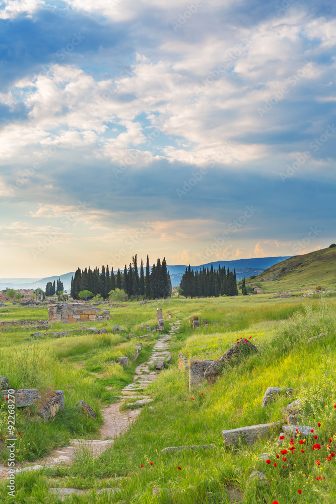 Naklejka premium Scenery view of grass valley with mountains