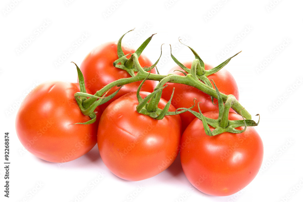 tomatoes isolated on white background tomatoes isolated on white background