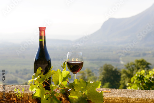 bottle and glass of red wine with a vineyard in the background