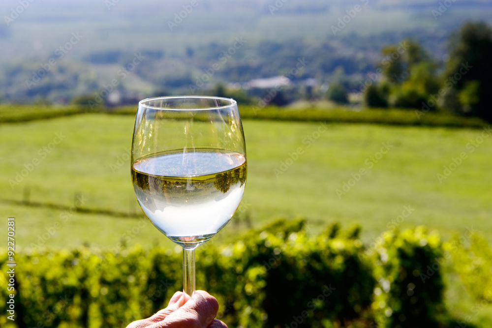glass of white wine with a vineyard in the background glass of white wine with a vineyard in the background