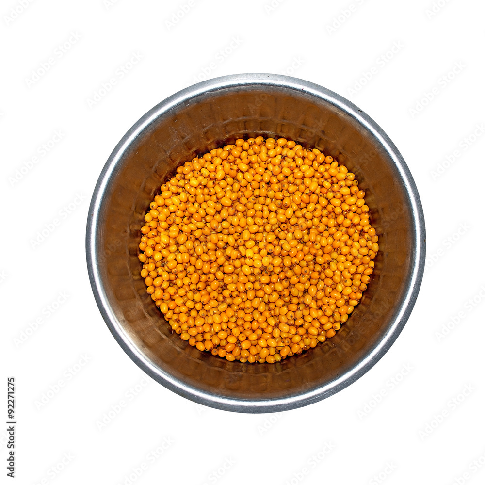 sea buckthorn berry sea buckthorn berry