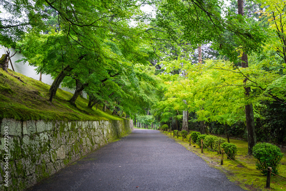 京都 曼殊院門跡 新緑 京都 曼殊院門跡 新緑