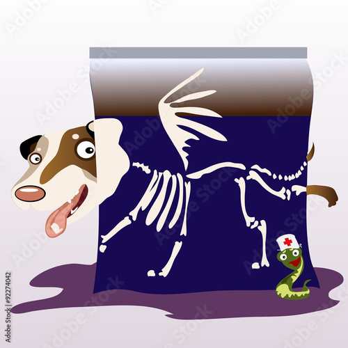 The dog on the x-ray 