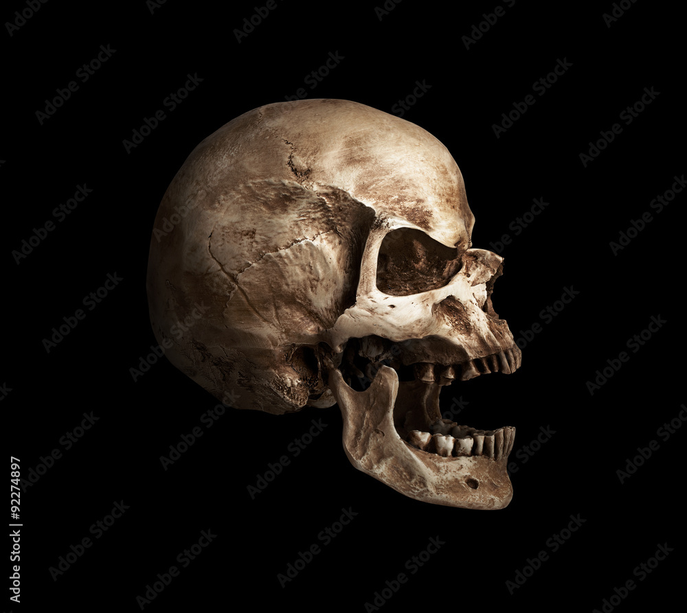 skull-open mouth skull-open mouth