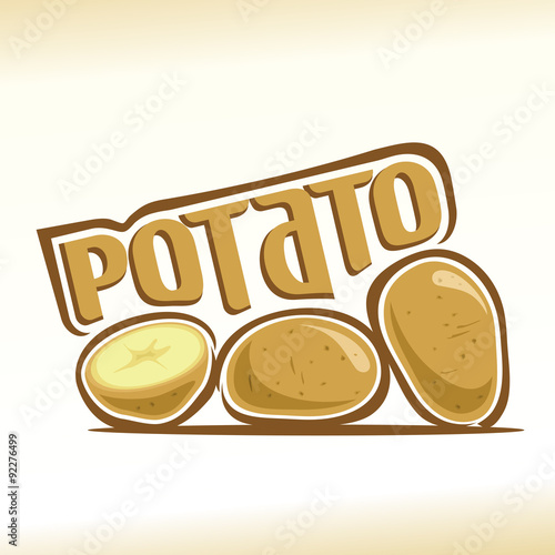 Vector illustration on the theme of  potato