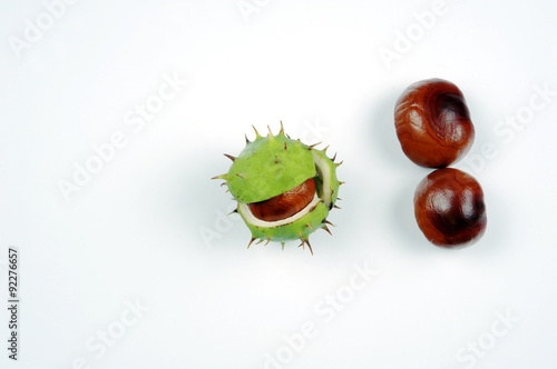 Chestnuts as the symbol of the end of summer and back to school. New life in the family.
 photo