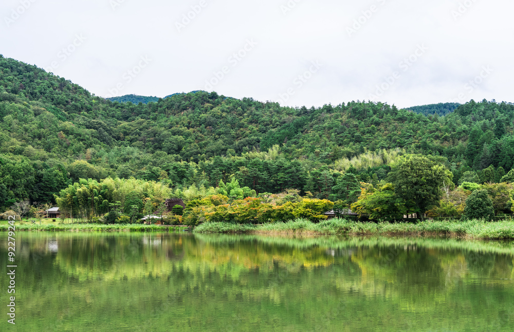 京都　色付き始めた広沢池の紅葉