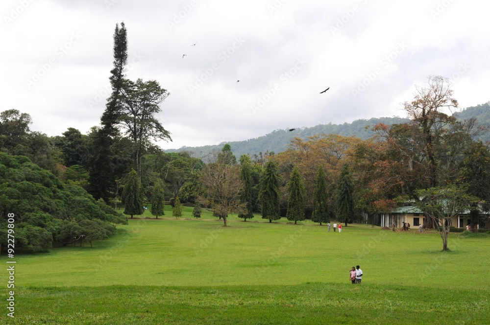 Obraz premium Unique Royal Botanical gardens in Peradeniya is considered as one of the best in Asia, as it contains a collection of 4000 species of plants.