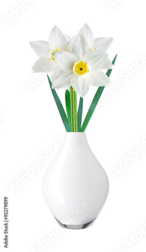 White and yellow color daffodil in vase isolated on white backgr © wolfelarry