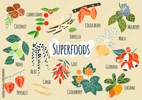 Vector hand drawn superfoods. photo