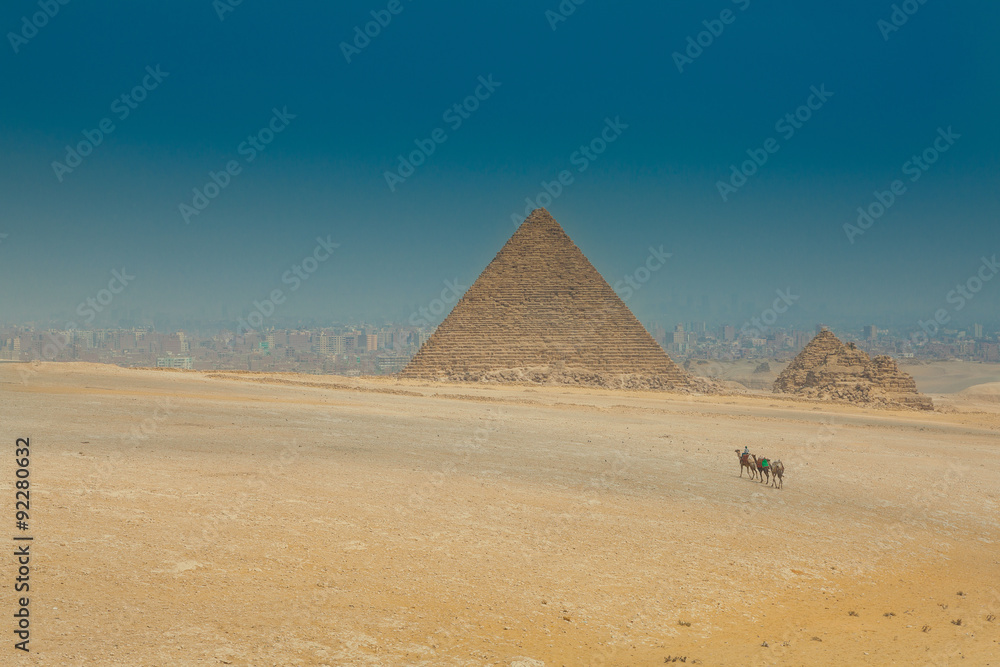 camels caravan on egyptian pyramid backround