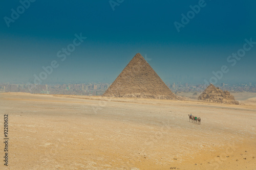 camels caravan on egyptian pyramid backround